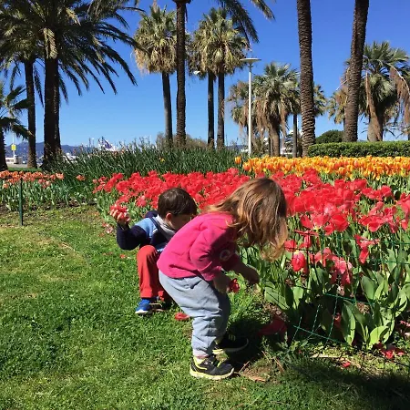 Vue Mer Jardin Chateau Plages Palais Des Festivals Lumineux Et Spacieux Au Calme Cannes